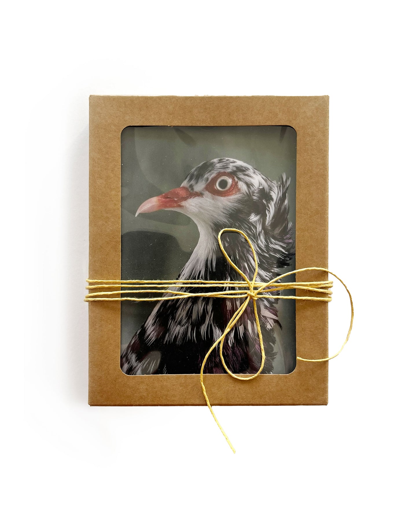 Classic Pigeon Greeting Cards