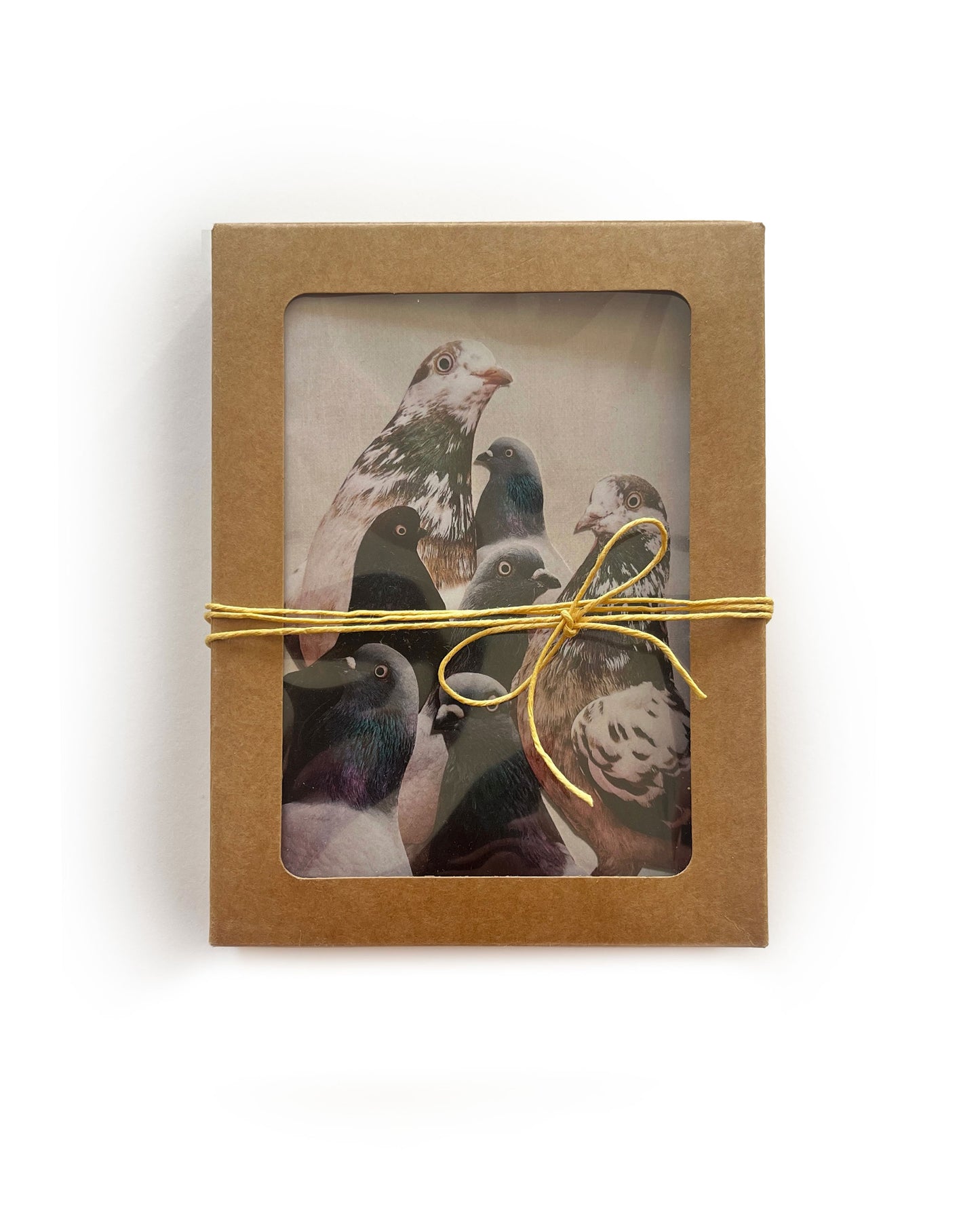 Pigeon Collage Greeting Cards