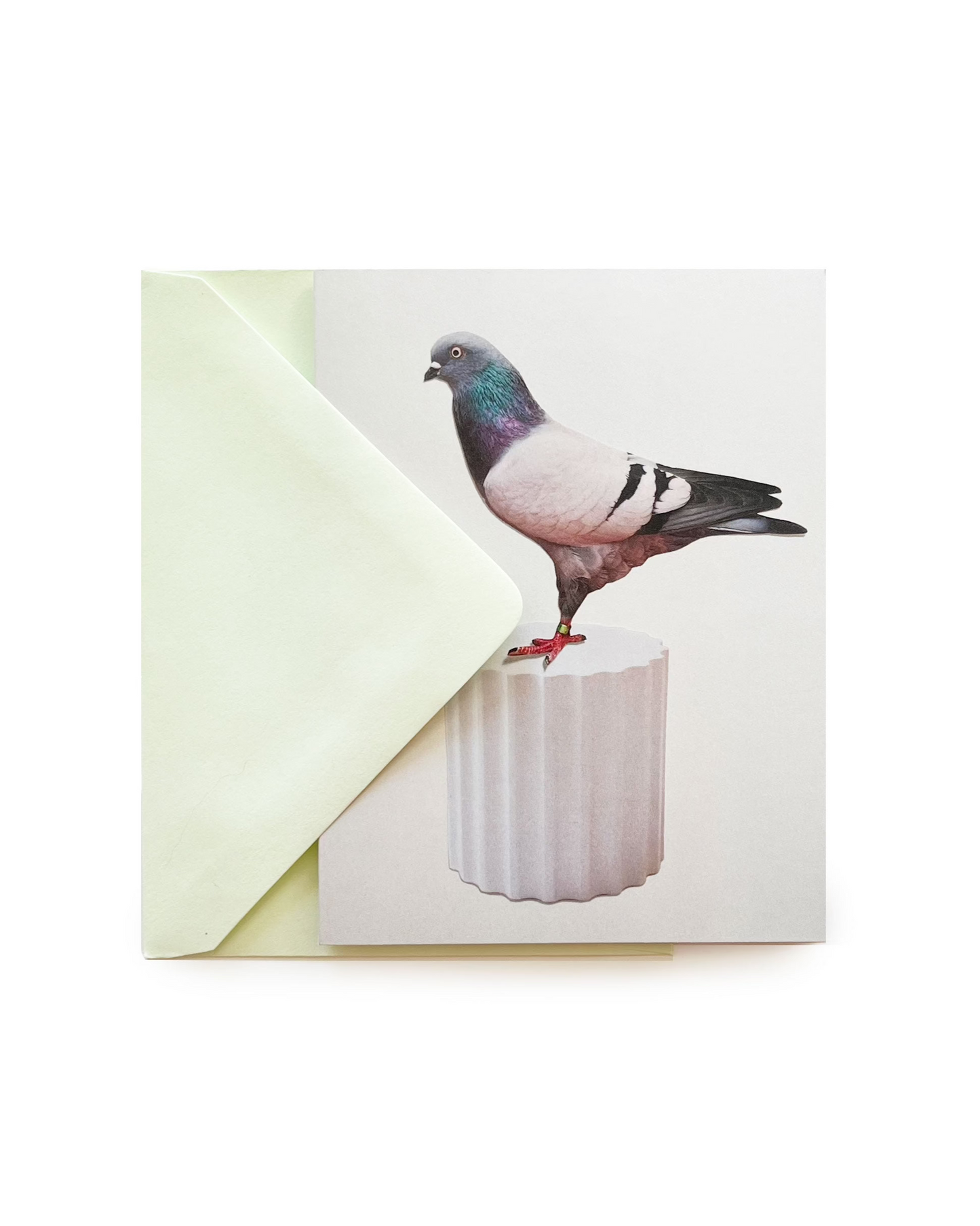 Pigeon Collage Greeting Cards