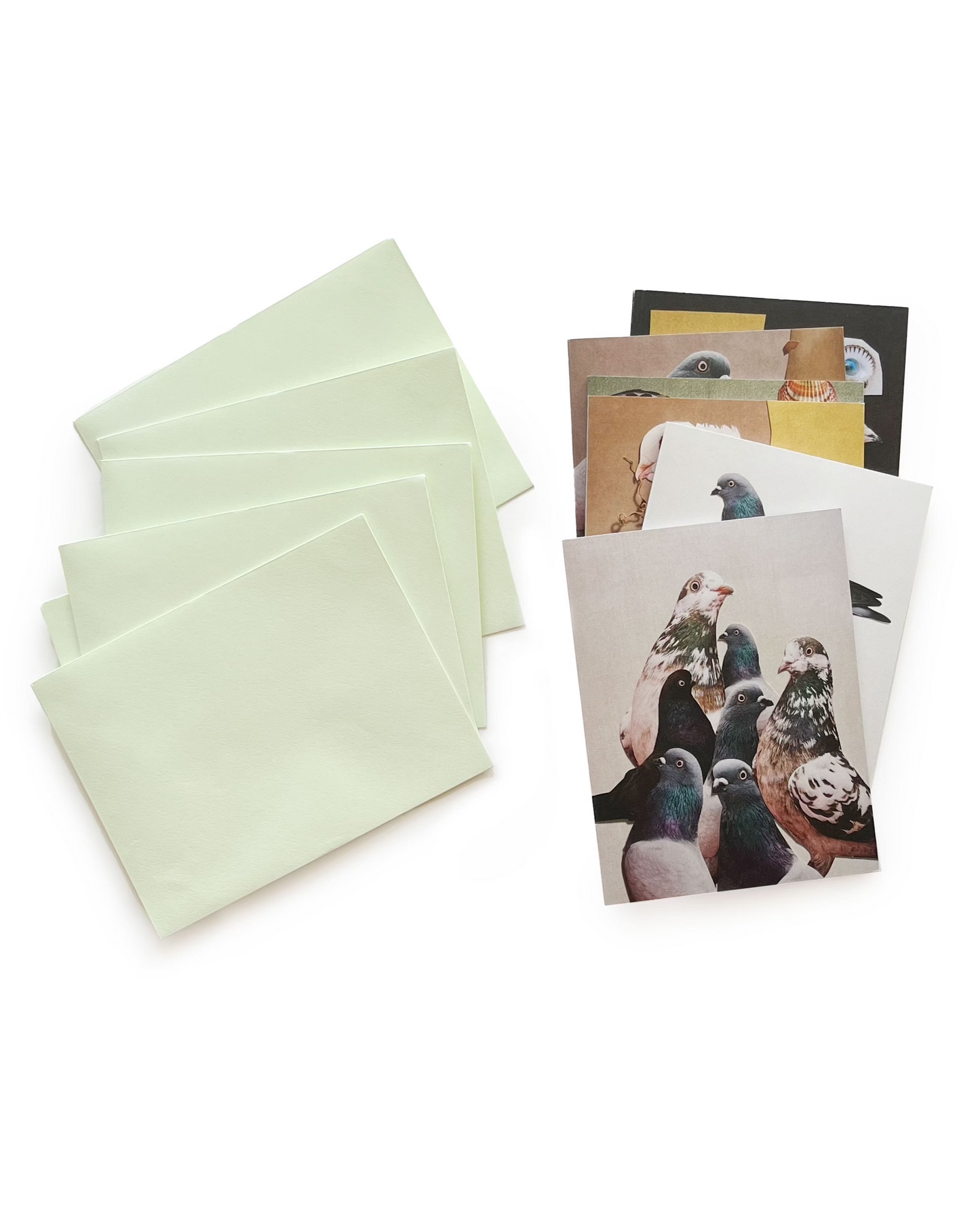 Pigeon Collage Greeting Cards