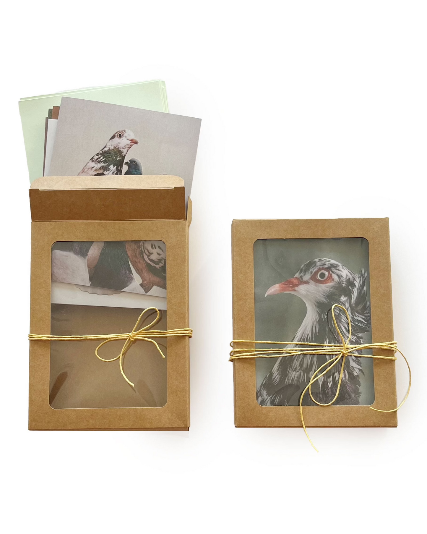 Classic Pigeon Greeting Cards